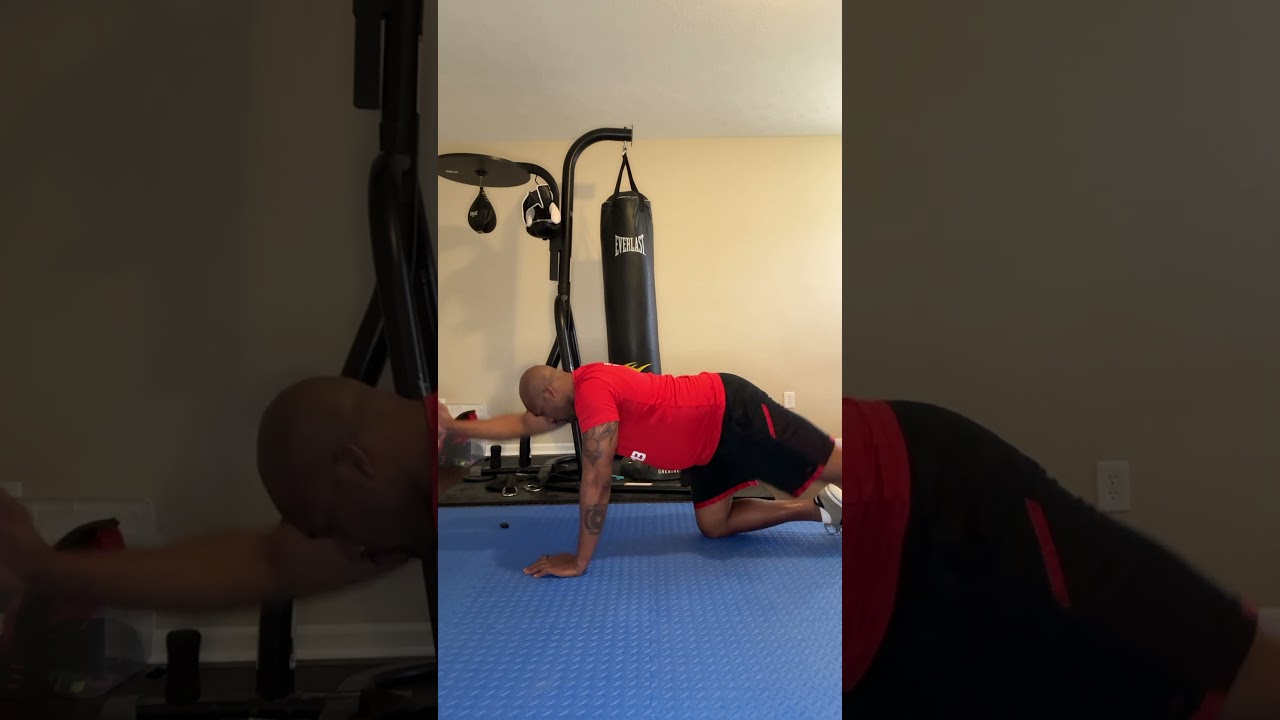 90 Days of Exercise - Day 12: Birddog 