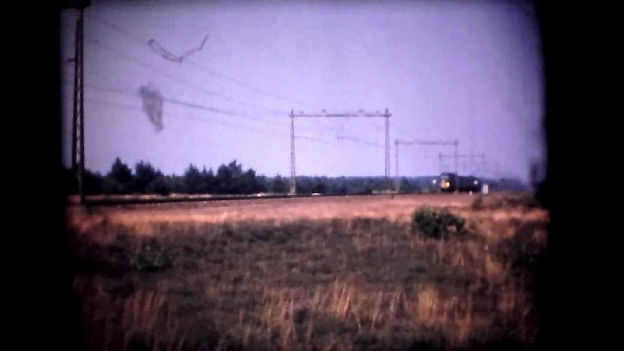 Hondekop mat'54 Ermelo 1966