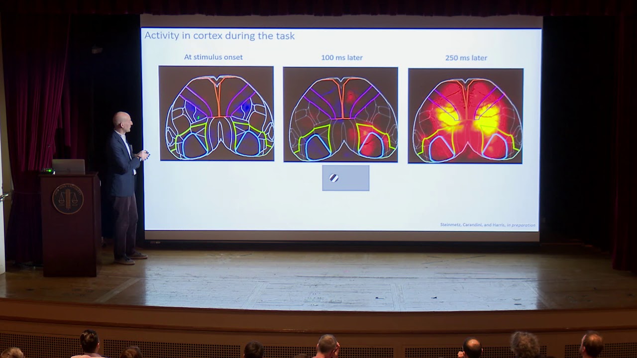 Matteo Carandini, UCL: Testing the textbook model of brain function