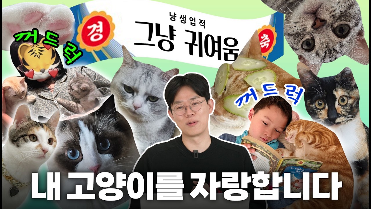 분노 공허 시기 질투만 남은 남의 [고양이 과시대회]