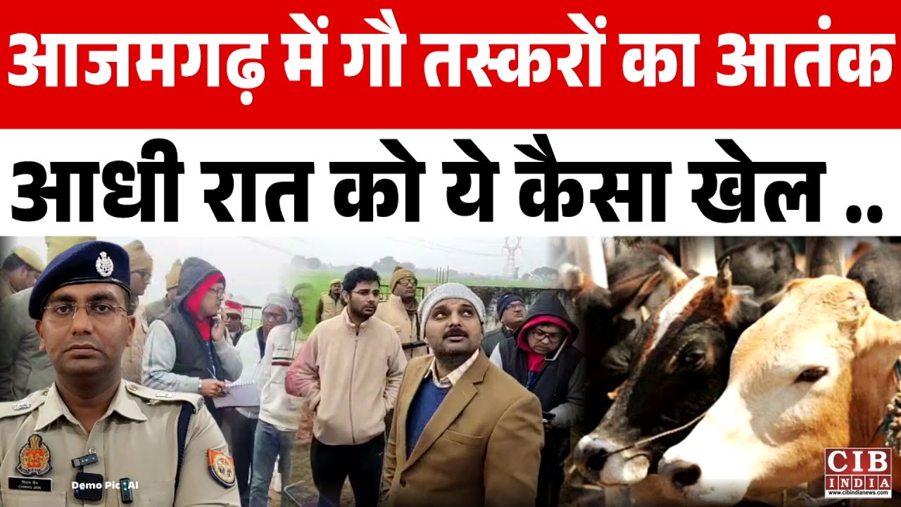 आजमगढ़ में गौ तस्करों का आतंक , आधी रात को ये कैसा खेल ...
