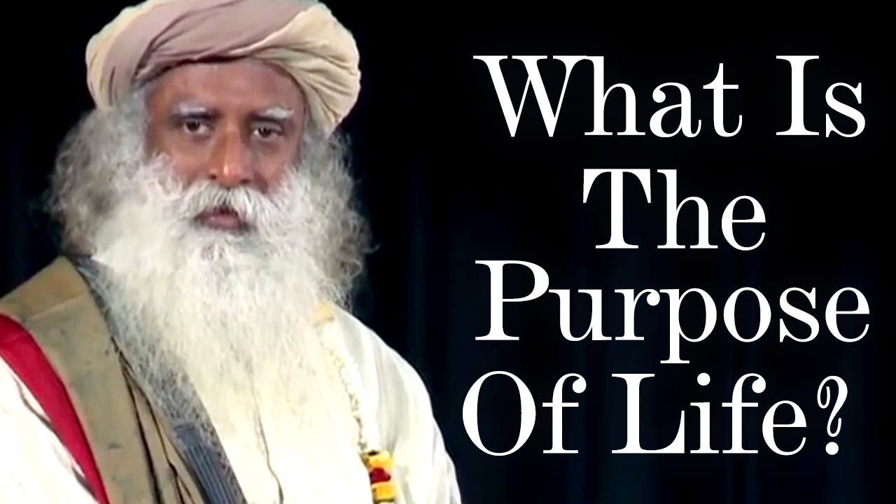Sadhguru's Insight on What is the Purpose of Life? | Spiritual Life