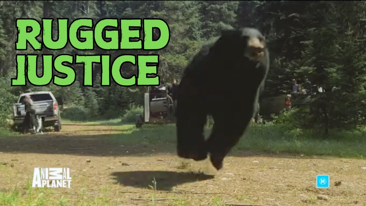 I READ THIS RUGGED JUSTICE PROMO FOR ANIMAL PLANET