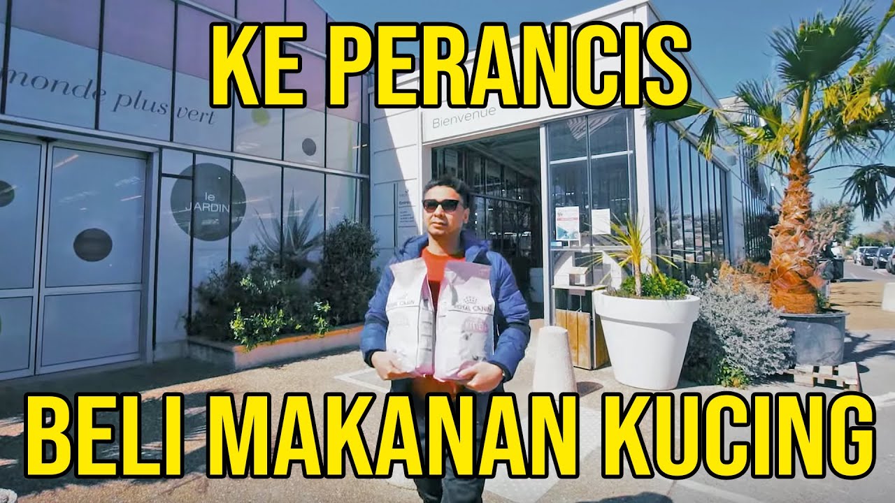KE PERANCIS BELI MAKANAN KUCING! 😎