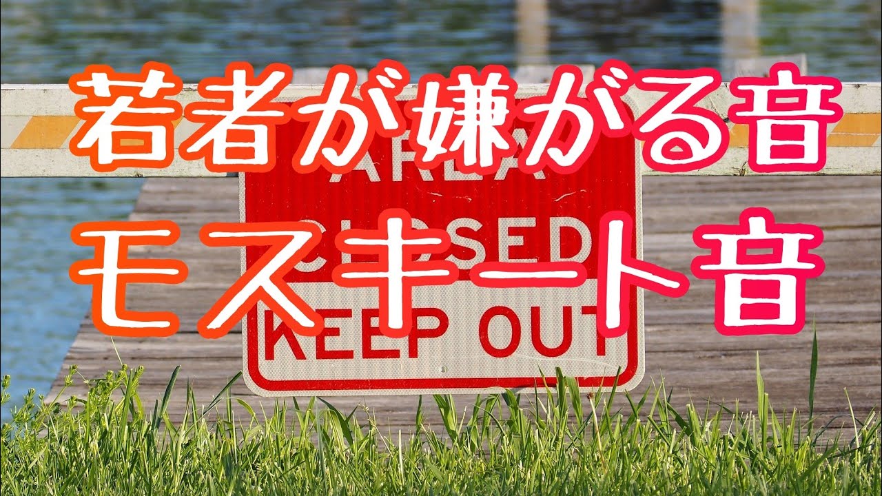 モスキート音｜若者が嫌がる音│17.6kHz｜足立区も採用した周波数│6時間｜ #モスキート音　#モスキートーン