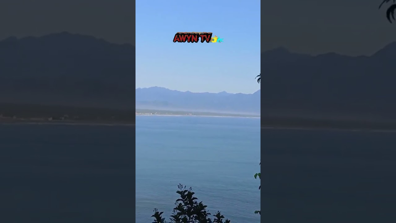 S356- Baler Bay