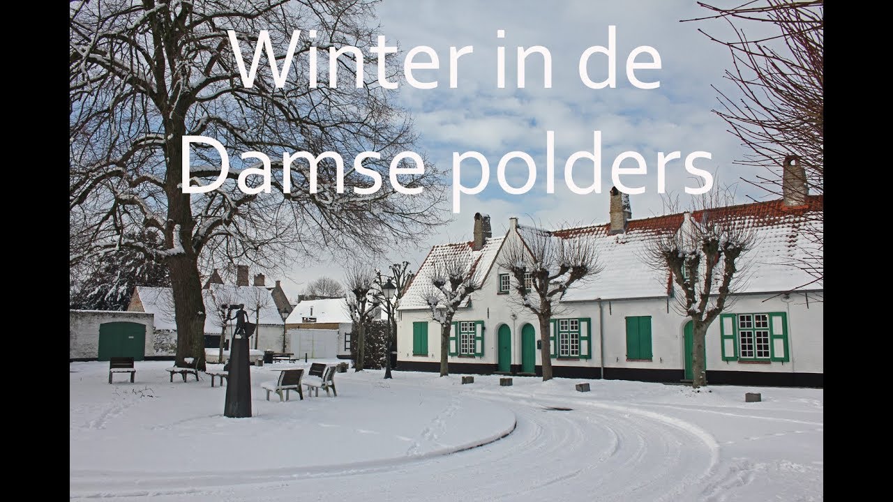 Winter in de polders