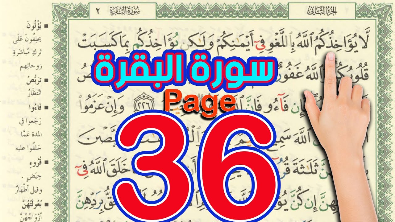 سورة البقرة صفحة 36 |  The Noble Quran