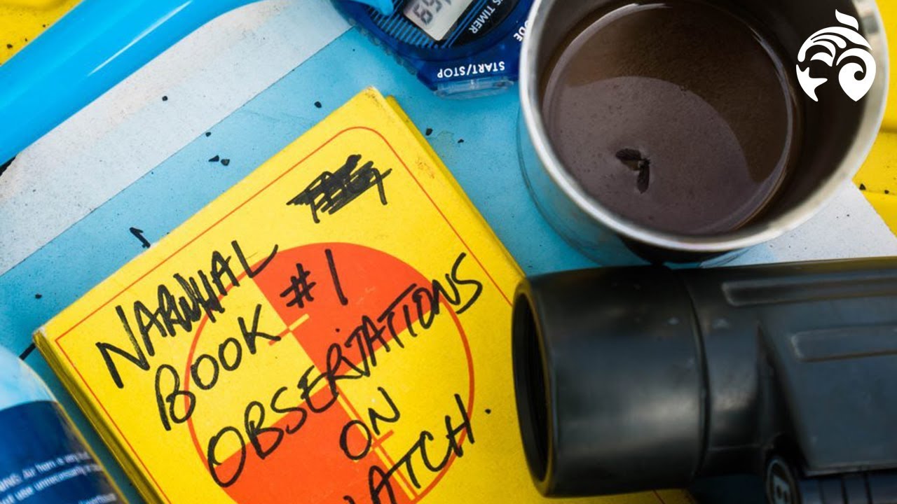 What's life like in an Arctic Research Camp? | Ocean Wise