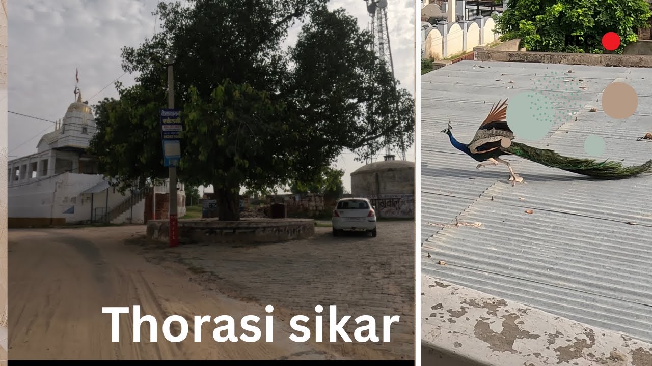 #shekhawati thorasi kharsadu Sikar20km,  1000 sal purana mandir, peerbaba dham football ground, 1000