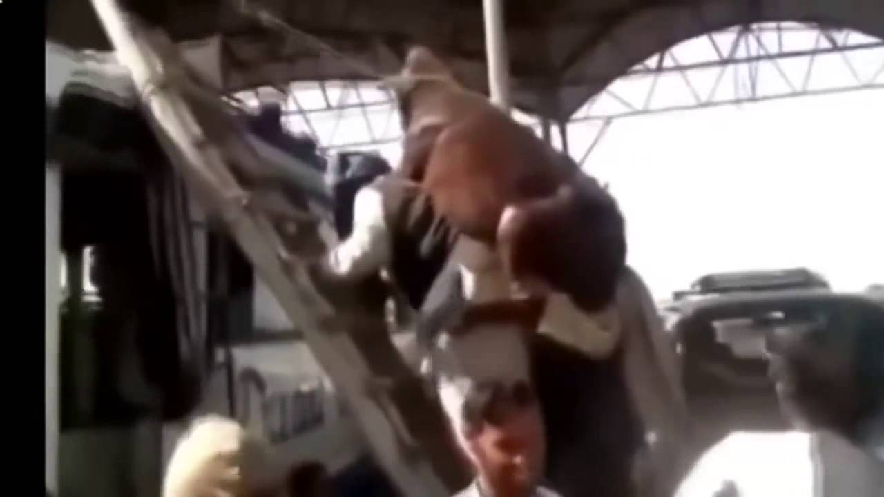 Лучшие Приколы 2015 Ржачные Видео Улётные Моменты