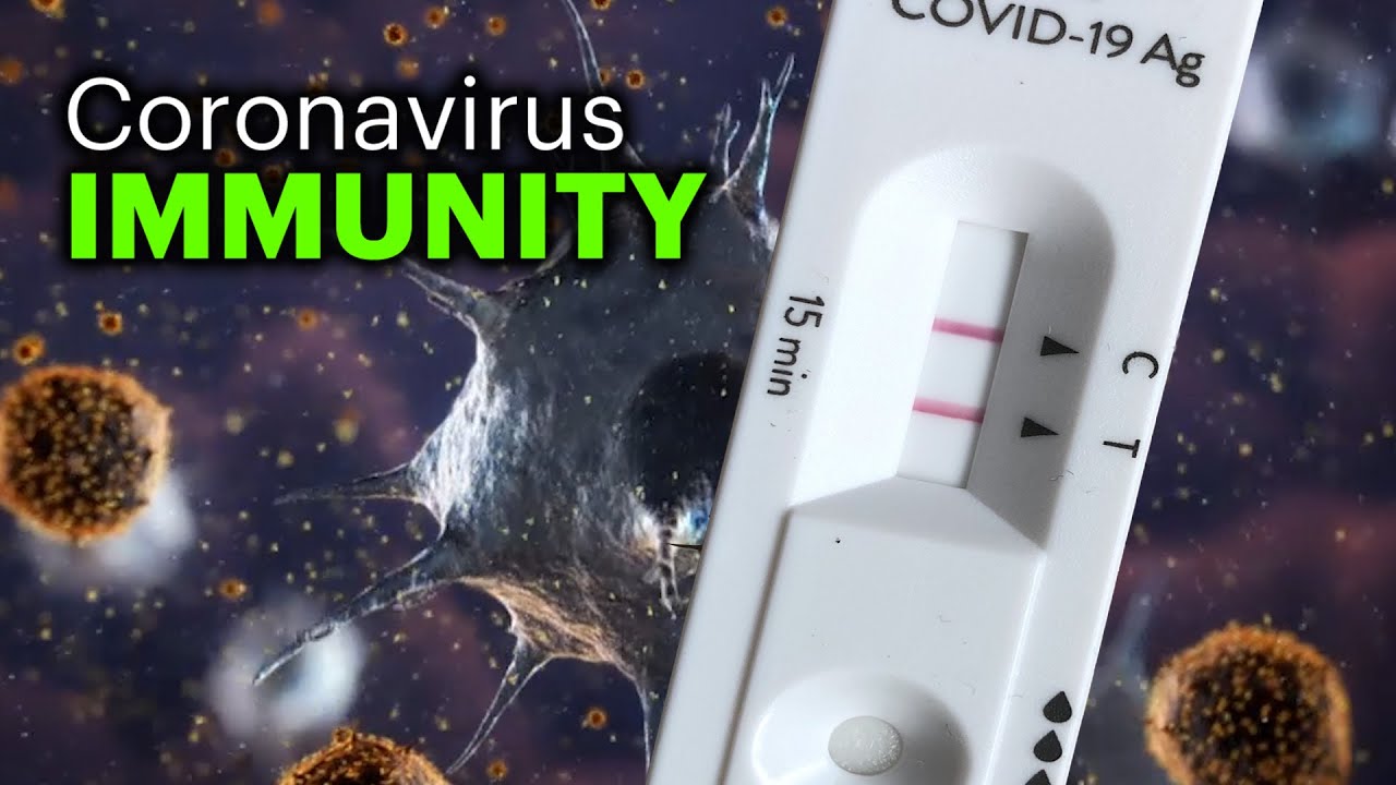 How Long Does COVID-19 Immunity Last?