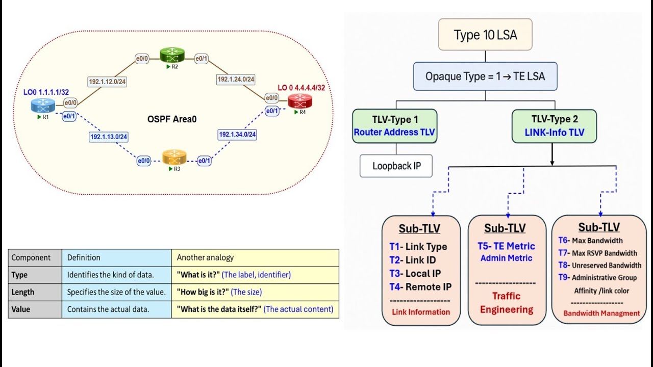 3-MPLS-TE  (OSPF Opaque LSA Type 10)