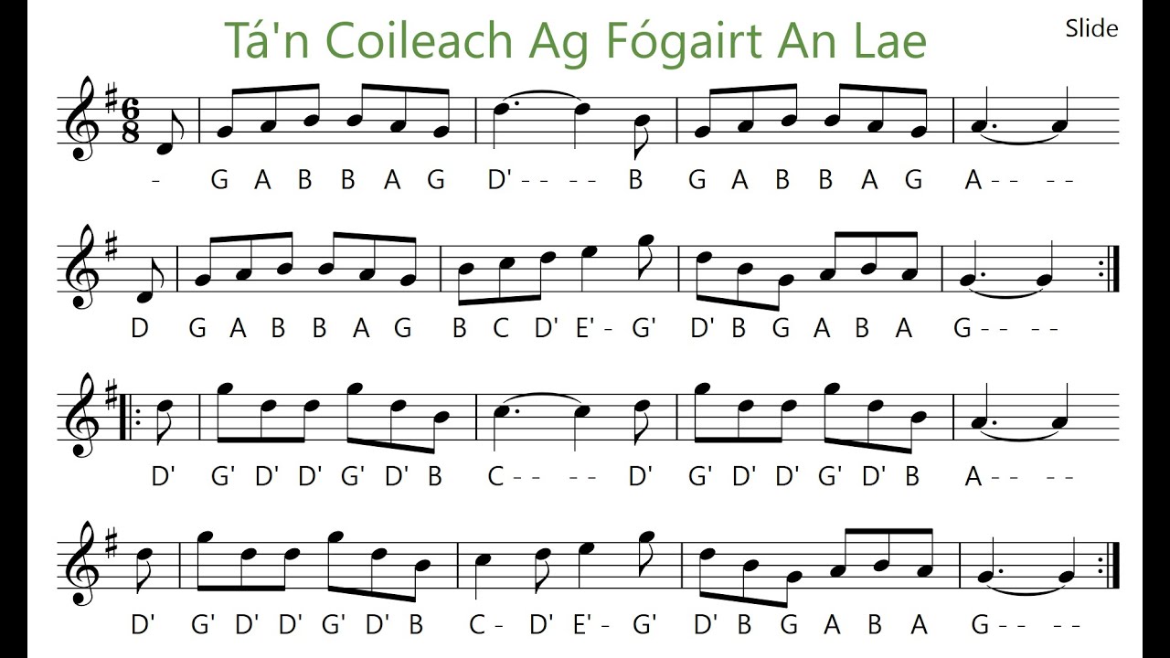 Tá'n Coileach Ag Fógairt An Lae - Jig