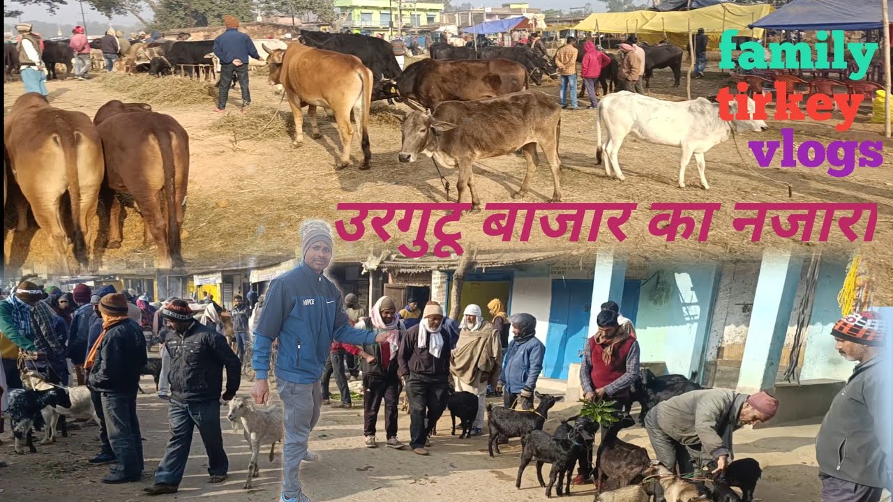 उरगुटू बाजार का नजारा/famiytirkeyvlogs/dailylaifvlogs/familyvideo