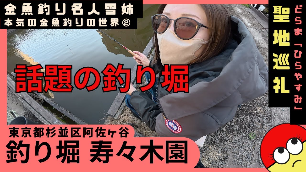 出禁になるぞ雪姉さん！風情溢れる最高の屋外金魚＆鯉釣り堀『寿々木園』！