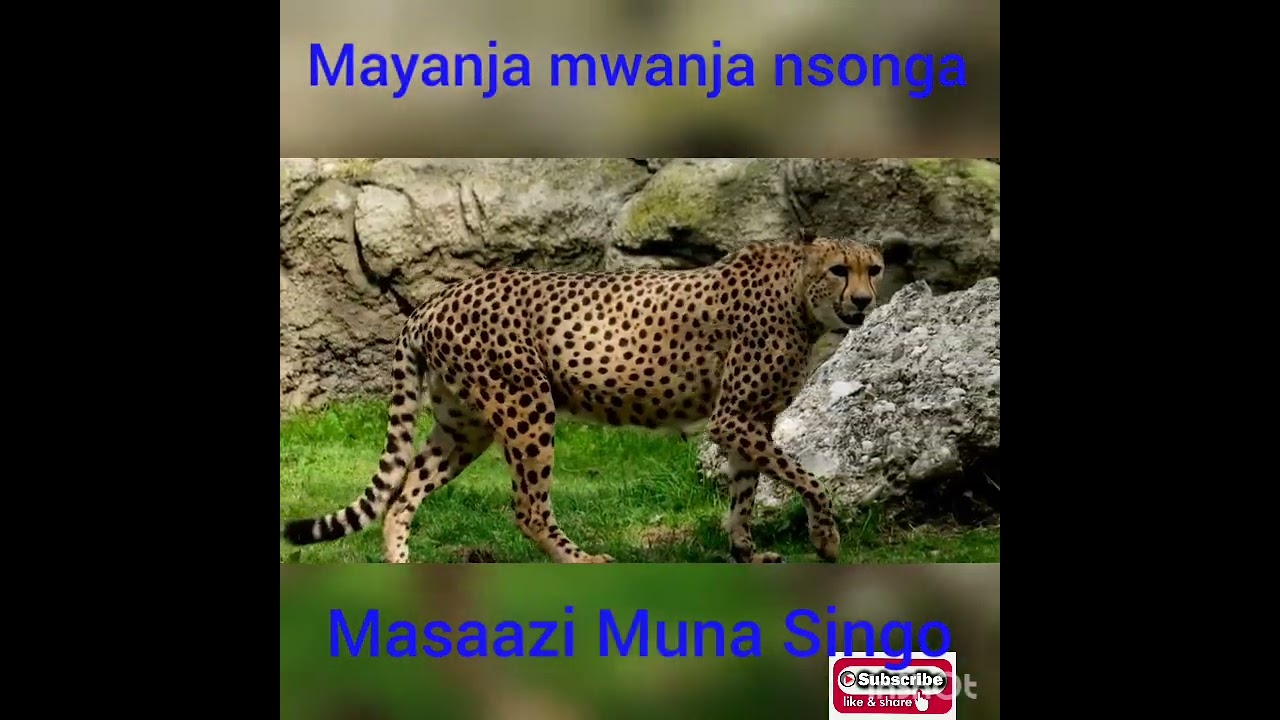 Mayanja songs #mayanja mwera mukira #Omulongo mayanja#omumbejja Joan Nassolo Tebatagwabwe #lubaale