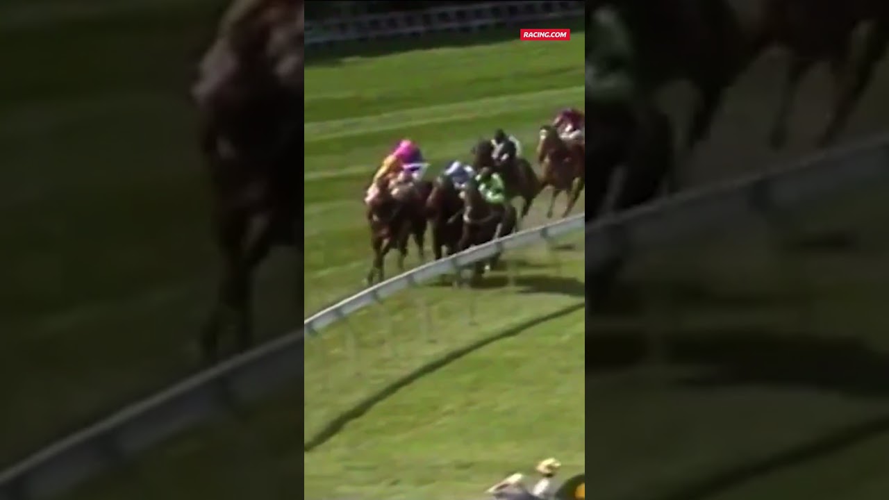Better Loosen Up MOWS THEM DOWN in the 1990 Cox Plate 😤 #shorts #horses #flashback #coxplate