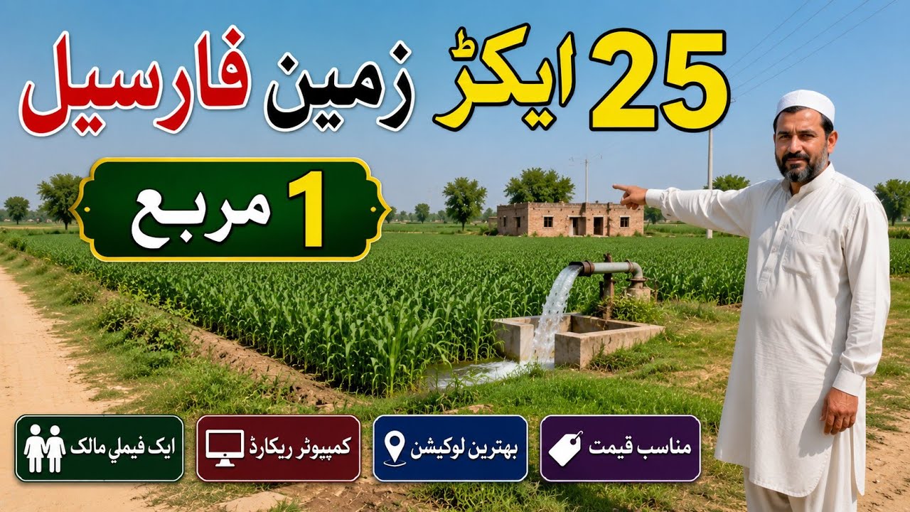 25 Acre Agricultural Land for Sale in Punjab, Pakistan | Cheap Price | Land for Sale | Ep 255
