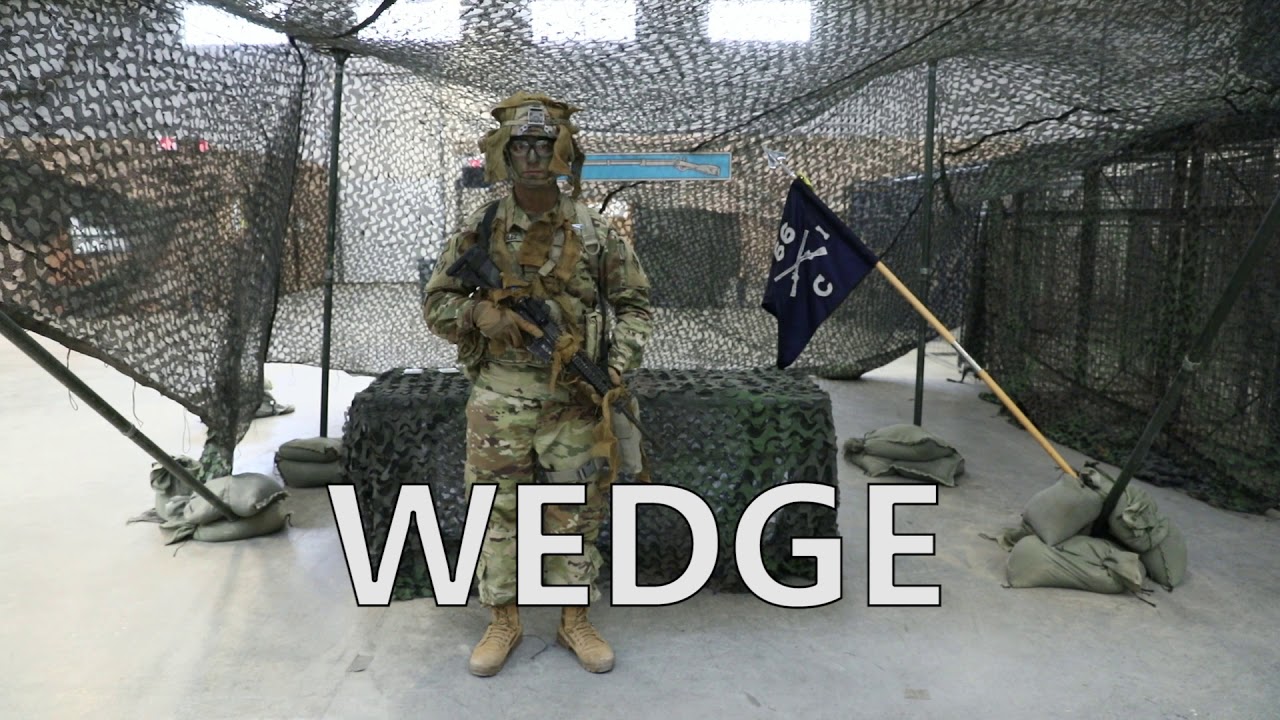 EIB Task P5: Camouflage and Visual Signaling Techniques