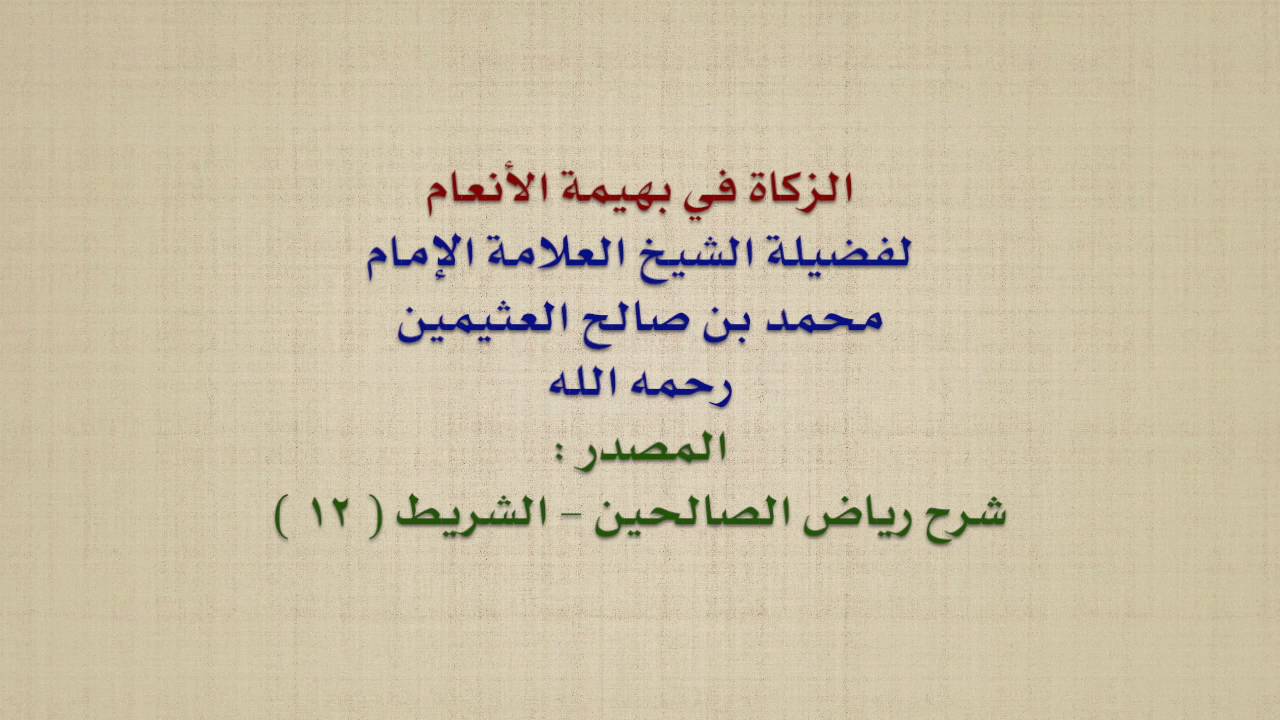 الشيخ ابن عثيمين : الزكاة في بهيمة الأنعام