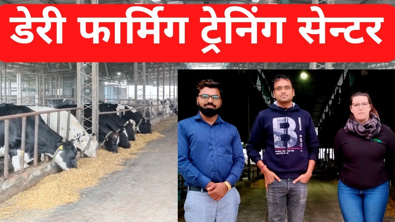 do you also want to start dairy farming? dairy farm training centre
