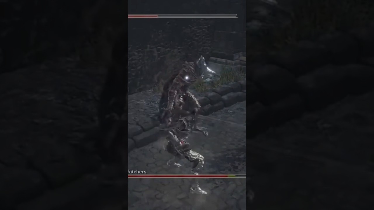 Challenge with fists Darkwraith VS Abyss Watchers 