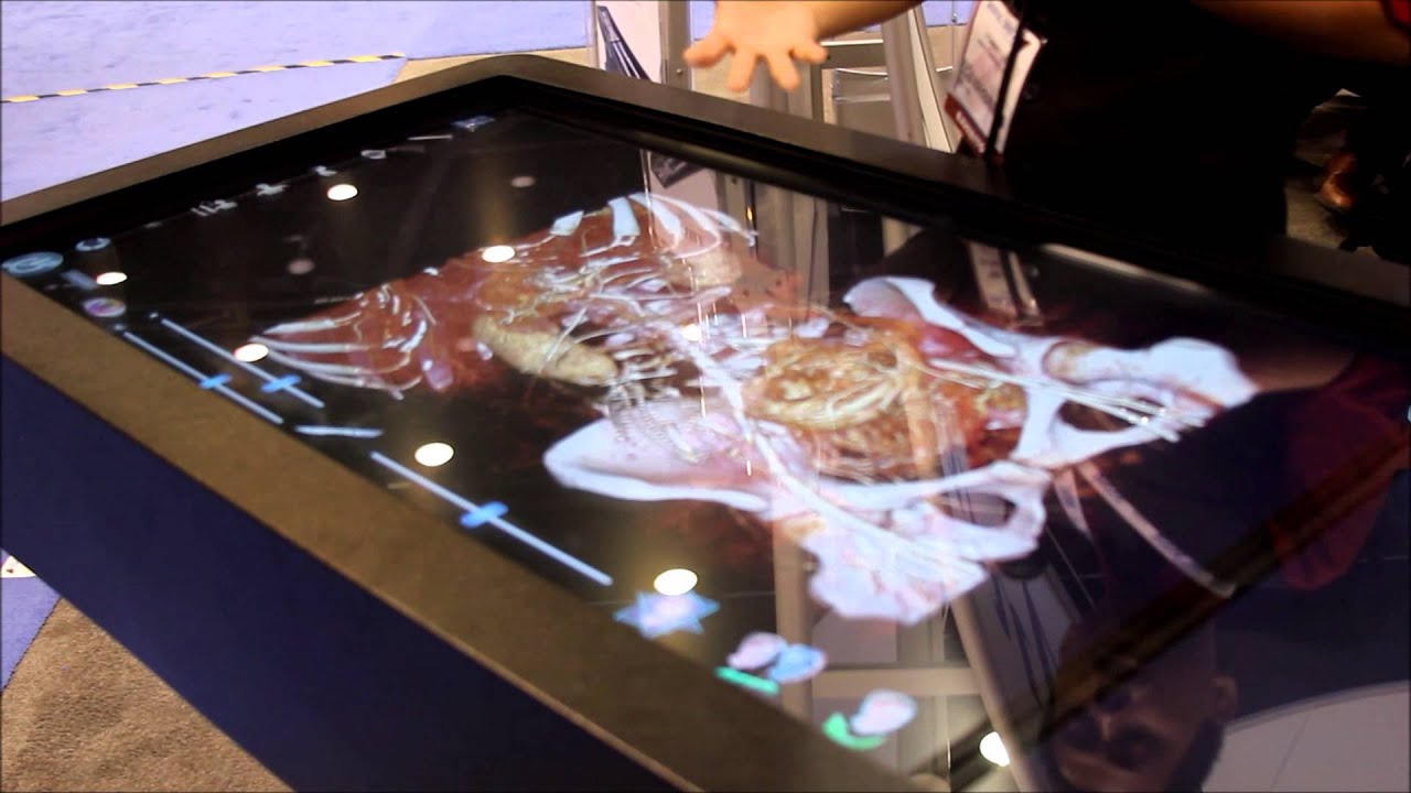 Anatomage Demo of Virtual Autopsy Table