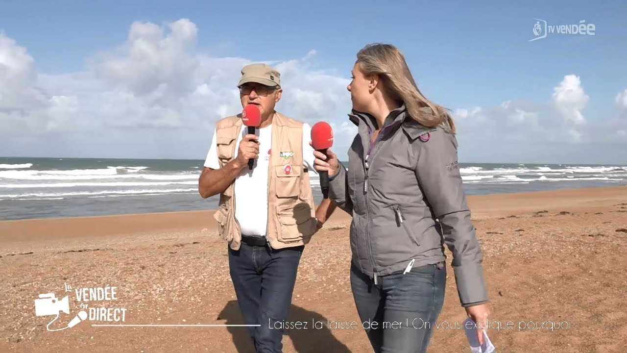 La Vendée en direct : Laissez les laisses de mer, on vous explique pourquoi...