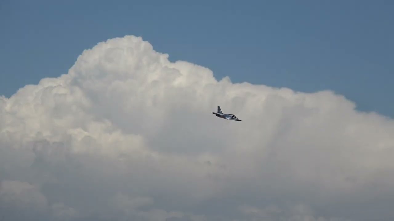 Peter's Baja hobbies L-39 Friday Jets over California 2024