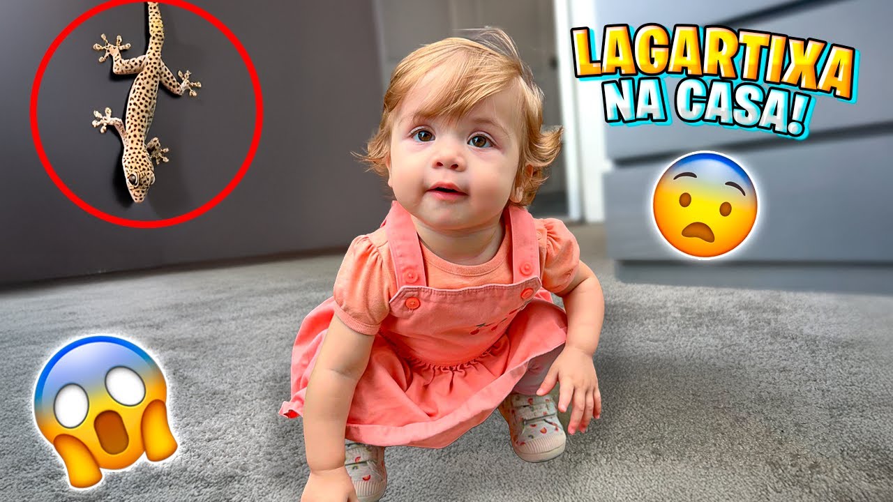 TEM uma LAGARTIXA DENTRO da NOSSA CASA! TEMOS QUE IR EMBORA AGORA! Pai Também Vloga