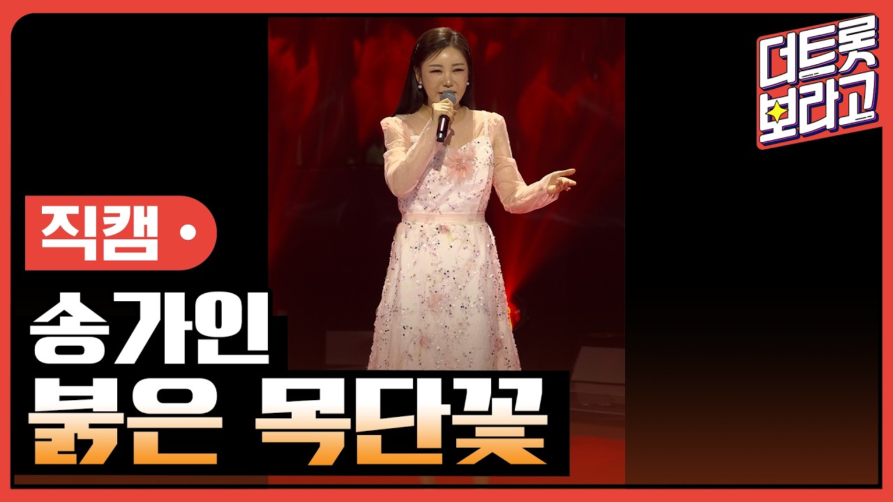 [세로직캠] 송가인, 붉은 목단꽃 | 더 트롯쇼 260413