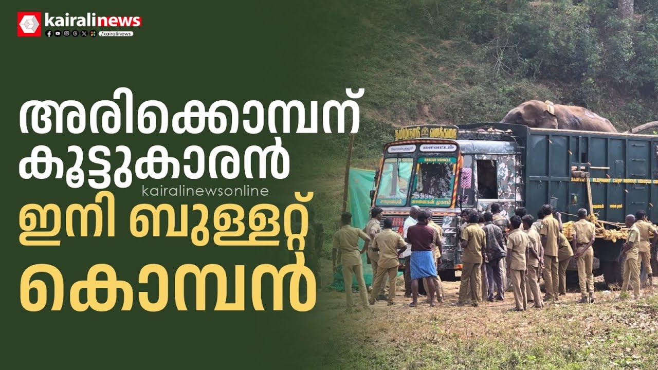 അരിക്കൊമ്പന് കൂട്ടായി ഇനി ബുള്ളറ്റ് കൊമ്പനും  | wild elephant