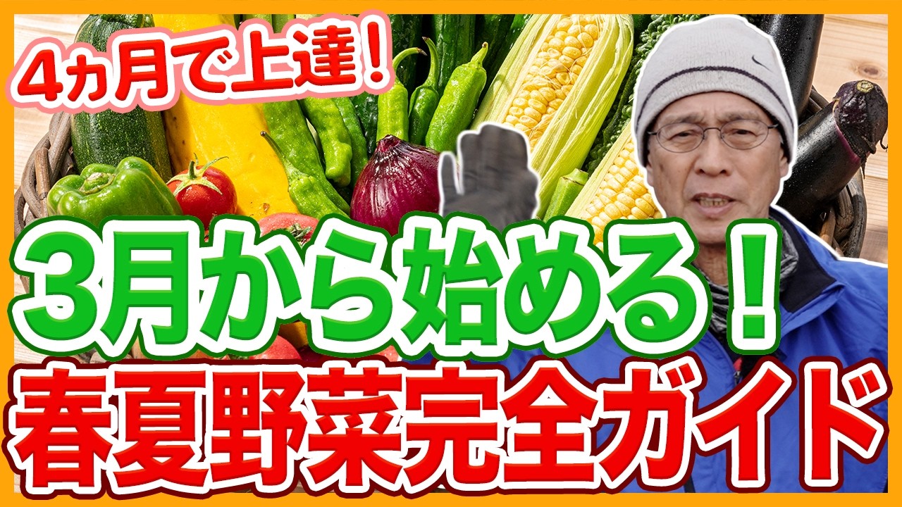 家庭菜園や農園の春夏野菜栽培を4ケ月で上達！3月から始める有機栽培と春夏野菜の育て方！【農家直伝】