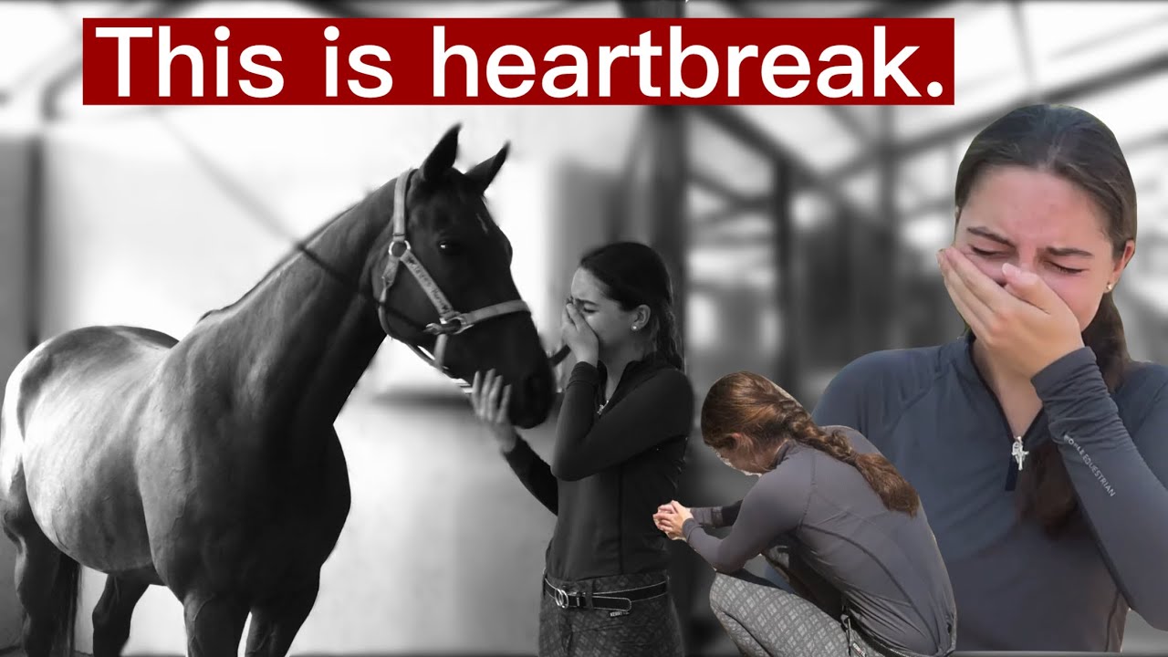 Saying Goodbye to my Heart Horse (Holly)…