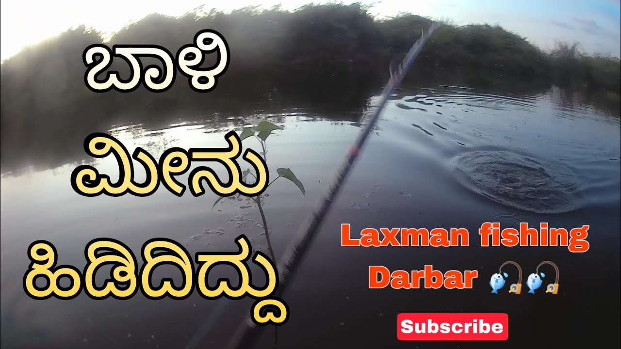 Baali fish catch | ಬಾಳಿ ಮೀನು ಹಿಡಿದಿದ್ದು | super frog | #laxmanfishingdarbar..