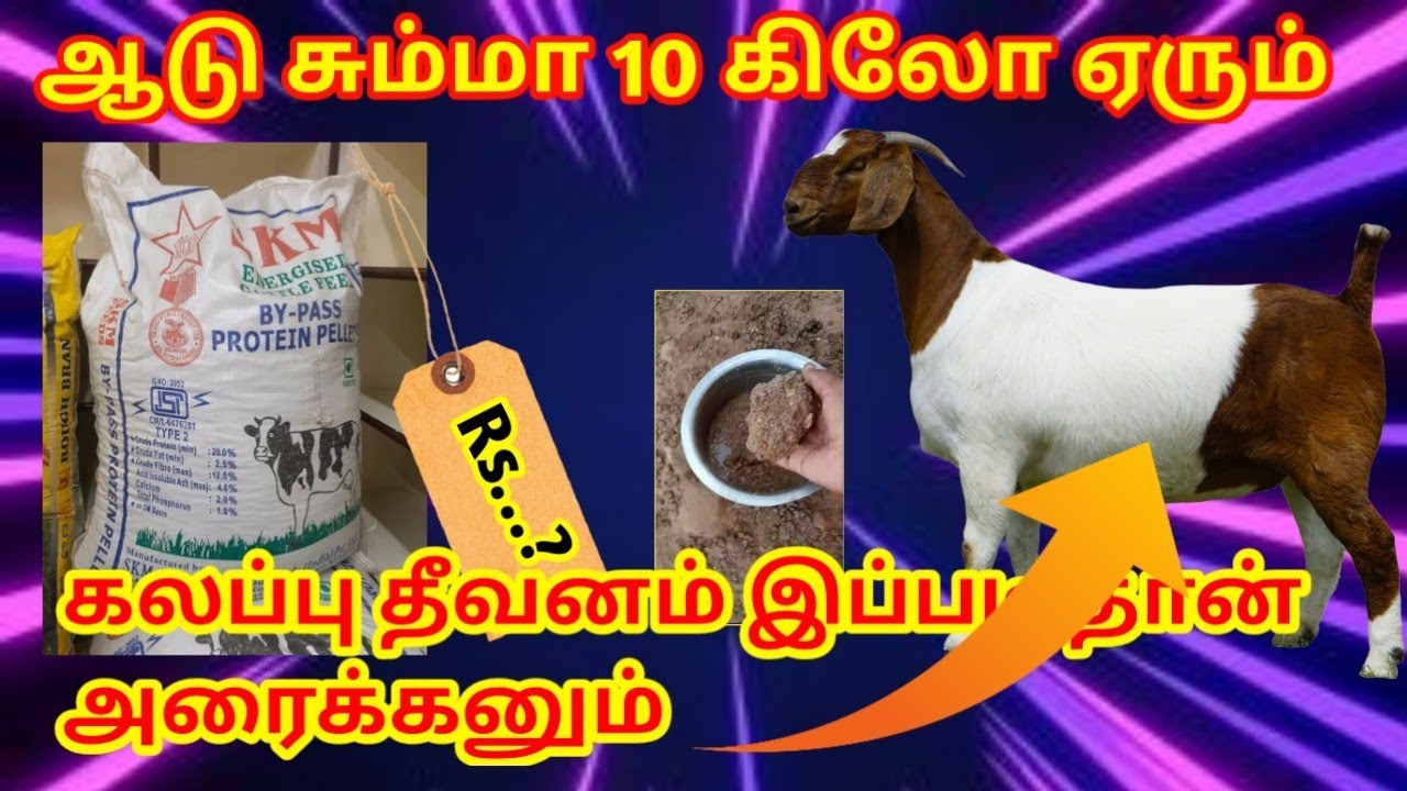 #psfarmers#aduvalarppu#goat#shed கலப்பு தீவனம் இப்படி தான் அரைக்கனும்.ஆடுஎடை அப்போ தான் அதிகரிக்கும்