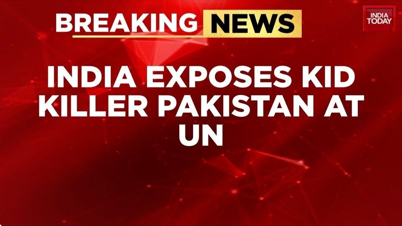 India's UN Envoy Parvathaneni Harish Slams Pakistan For 'Trade And Transit Terrorism' And Killing
