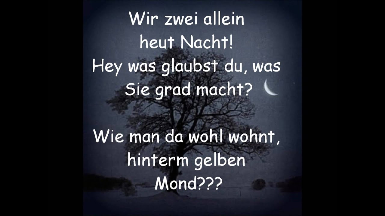 Wir zwei allein - Gwen & David hasselhoff