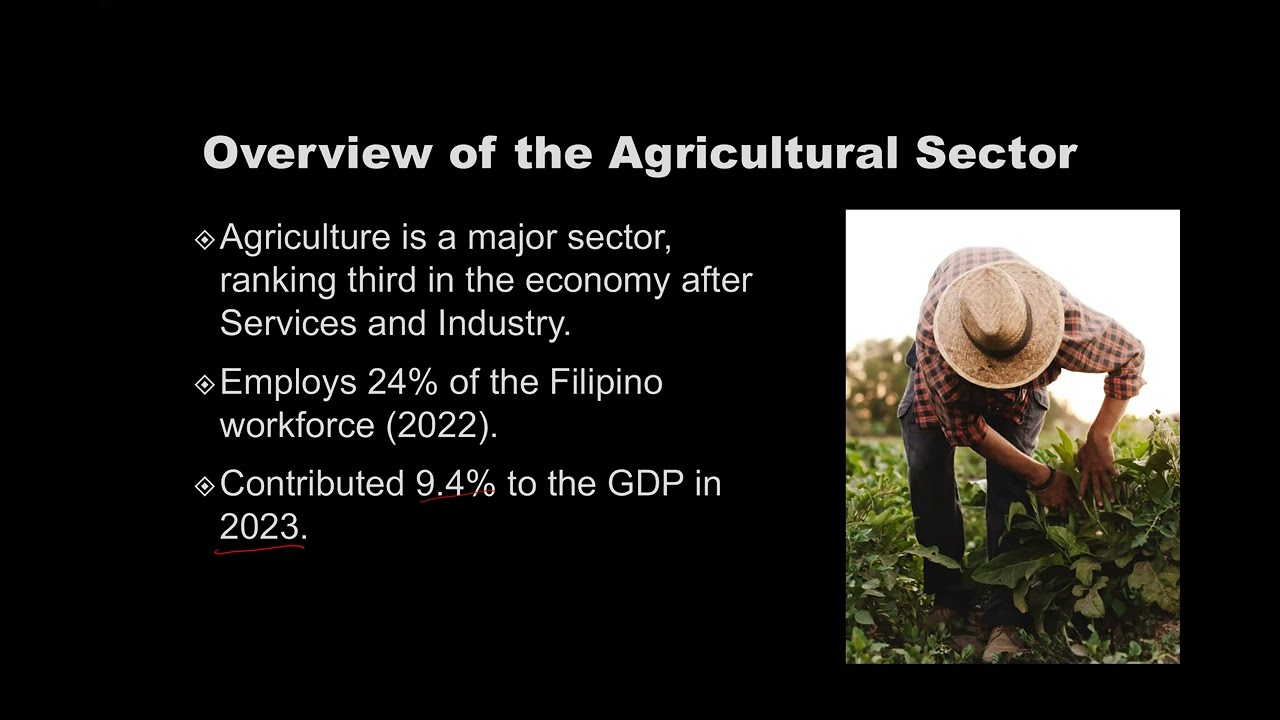 Agriculture in the Philippines