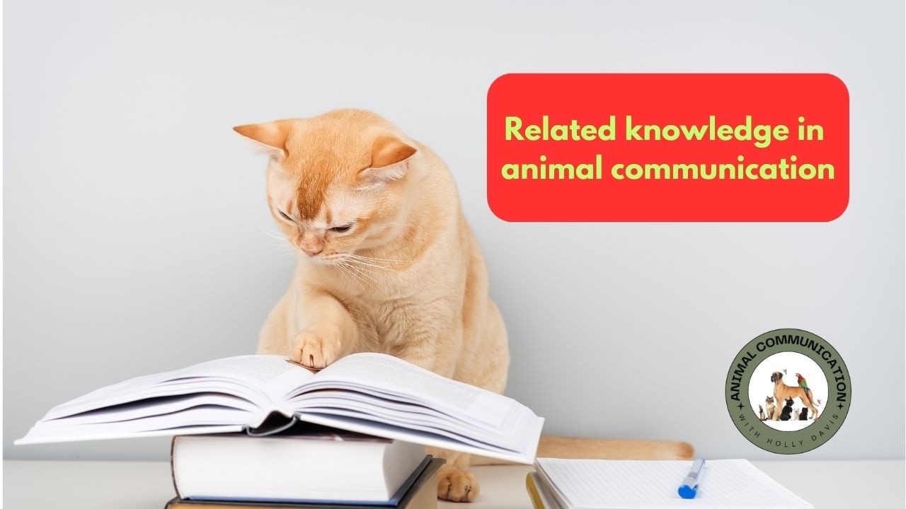 Why is related knowledge so important in animal communication?