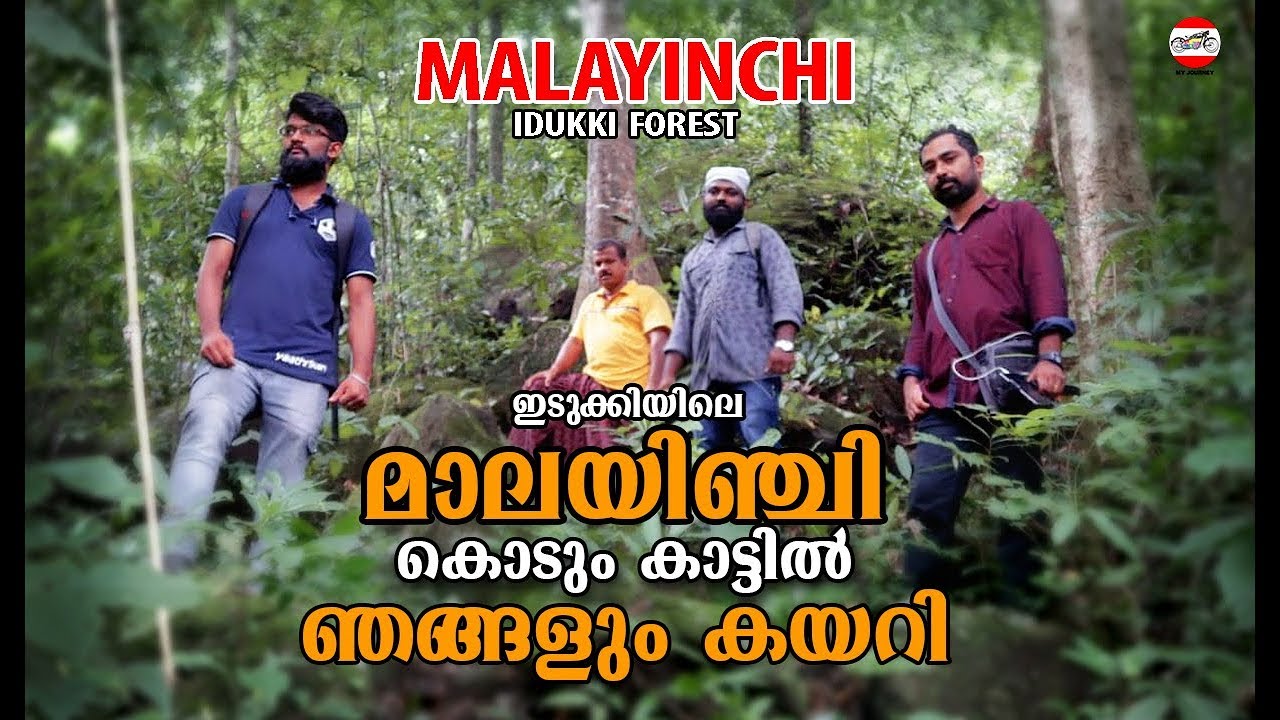 Malayinchi Forest Idukki ഇടുക്കിയിലെ ഇൗ കാടിനെപ്പറ്റി ആദ്യമായിട്ടായിരിക്കും നിങ്ങൾ അറിയുന്നത്