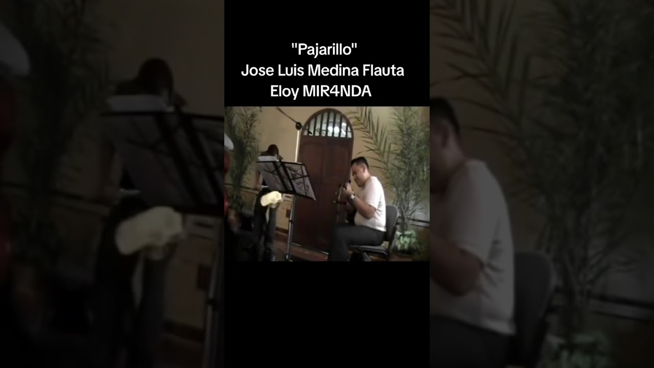 #pajarillo #joseluismedina #flauta #eloymiranda 