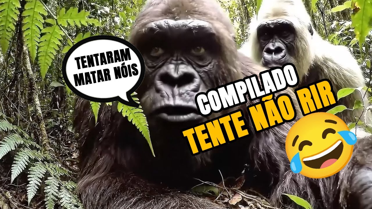 TENTE NÃO RIR COM 1 HORA DE COMÉDIA DO PÉ GRANDE! 😎🤣