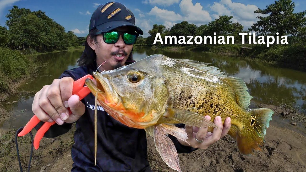 Hindi kayo maniniwala paano ko nahuli to PEACOCK BASS Monoculus & Temenesis | Y5E9