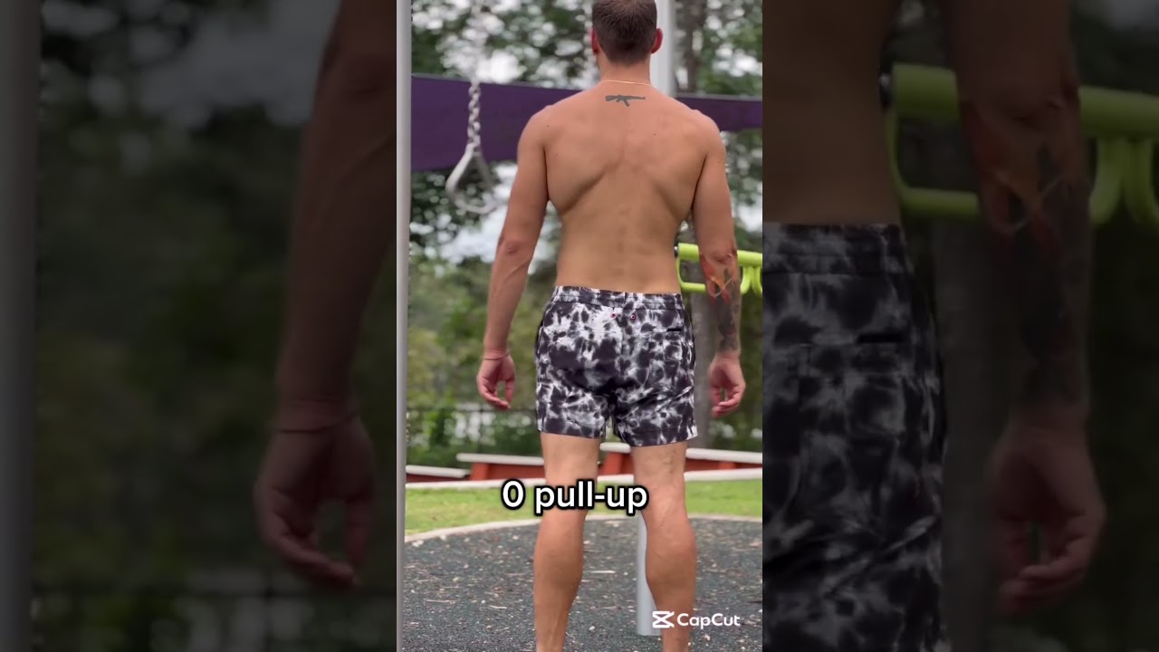 Diff&eacute;rence grand dorsal court vs long 🐢