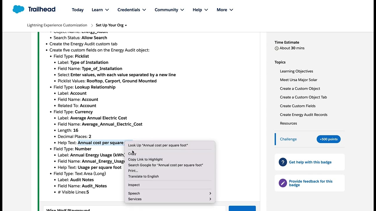 Create a Custom Object and Custom Fields