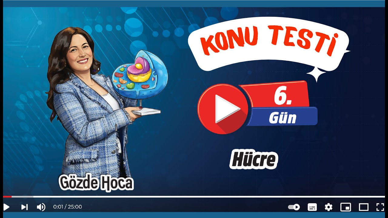 6.GÜN - HÜCRE YAPISI VE ZARSIZ ORGANELLER SORU ÇÖZÜMÜ