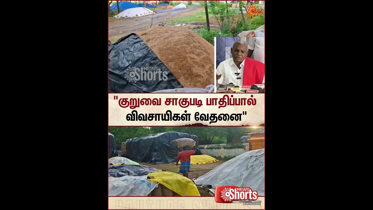 Kuruvai Cultivation | Farmers | P. Shanmugam | Sun News