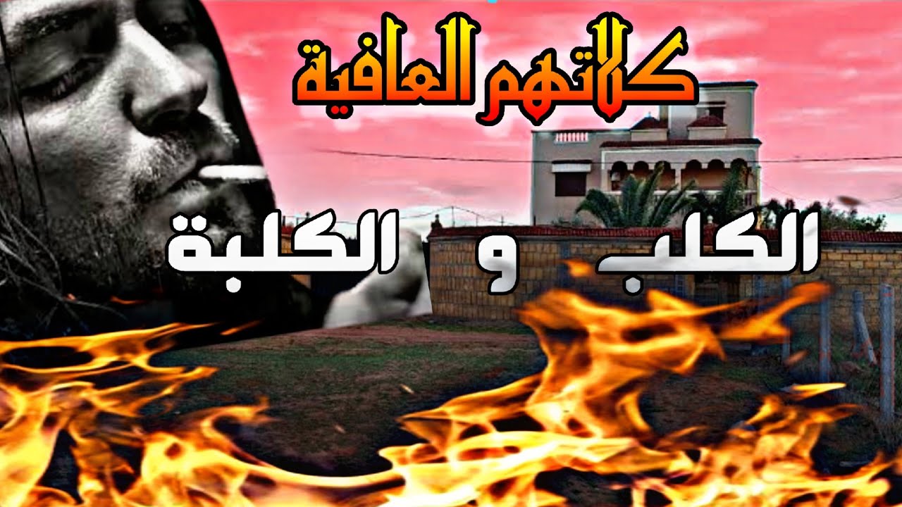 قصص 101 كلاتهم العافية الكلب و الكلبة // الحلقة 7 : جريمة سيدي سليمان